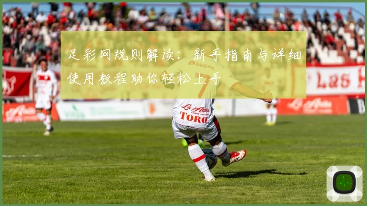 足彩网规则解读:新手指南与详细使用教程助你轻松上手