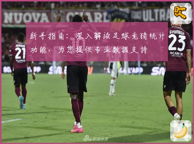新手指南：深入解读足球竞猜统计功能，为您提供专业数据支持