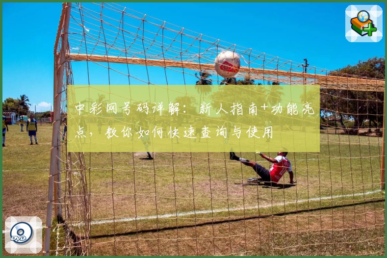 中彩网号码详解:新人指南+功能亮点,教你如何快速查询与使用