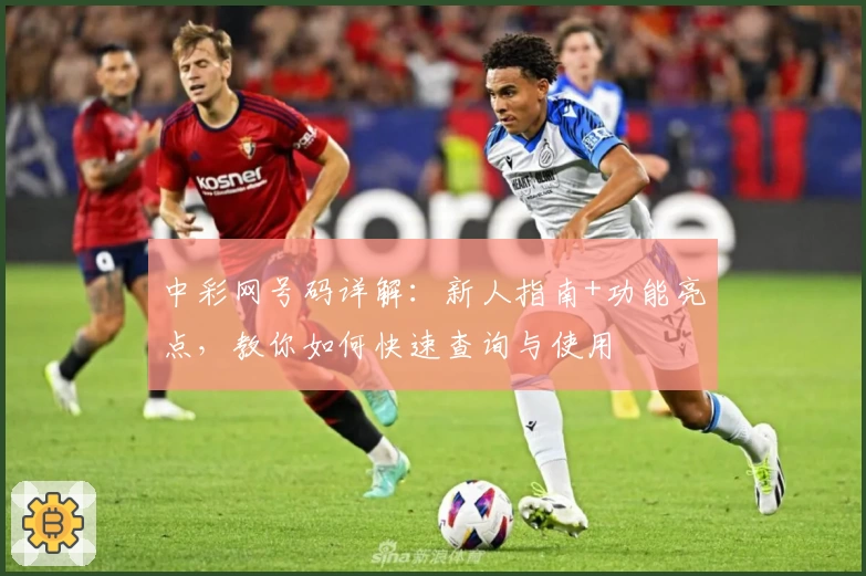 中彩网号码详解:新人指南+功能亮点,教你如何快速查询与使用