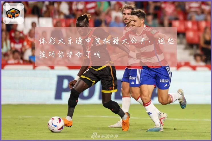 体彩大乐透中奖秘籍大公开，这些技巧你学会了吗